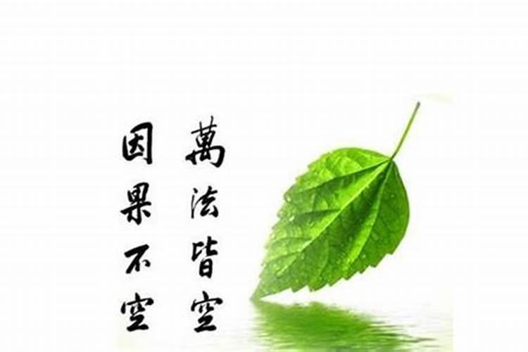 佛说意外怀孕的孩子存在灵气 是真的吗