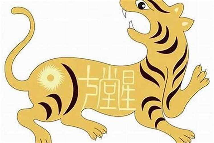 2010年属虎的女孩命运好不好 中年事业财运顺利？