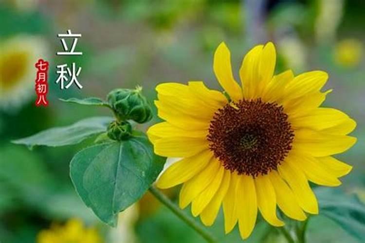 秋分有什么讲究 秋分有什么忌讳吗