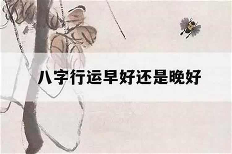 八字算命八岁运是什么意思