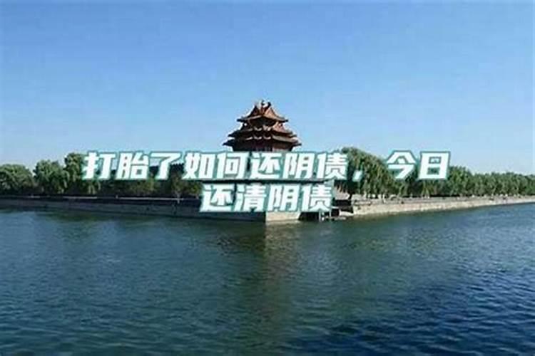牛和什么属相相冲,和什么属相相合