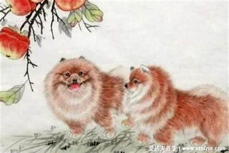 太岁真能化解吗？