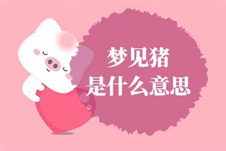 梦到猪是什么意思周公解梦