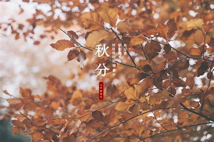 秋分有什么习俗 秋分的习俗有什么