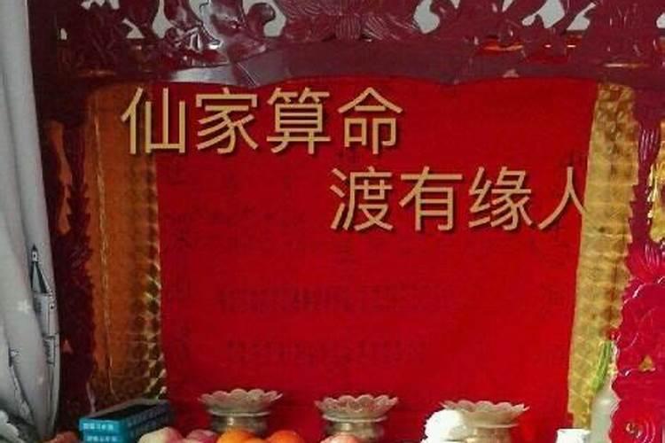 83年猪2026年属猪人的全年运势