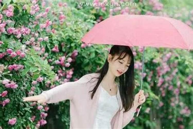 属狗一生命运如何82属狗人的灾难年龄