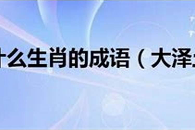 属猴男和什么属相蕞合适