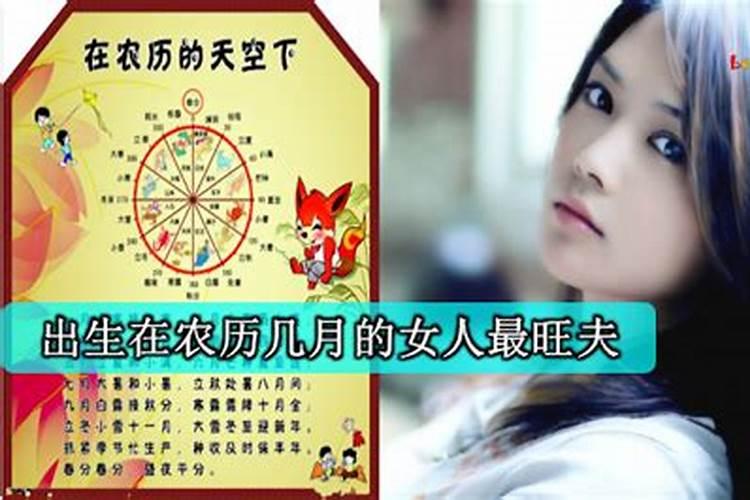 蛇年2025年运势及运程