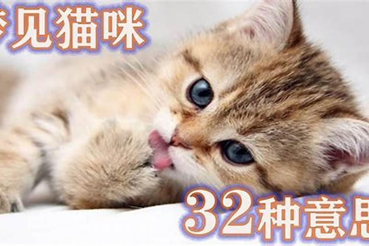 2025正月怀孕孩子几月出生