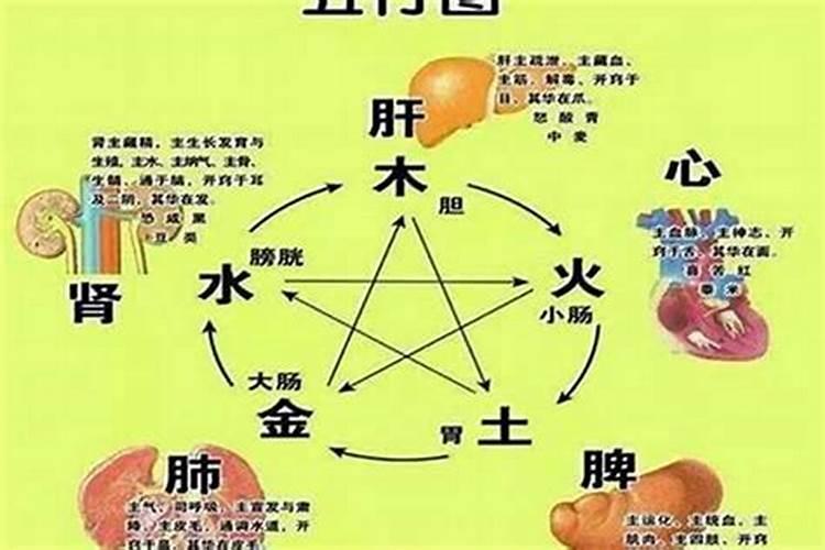 八字五行喜忌怎样查询