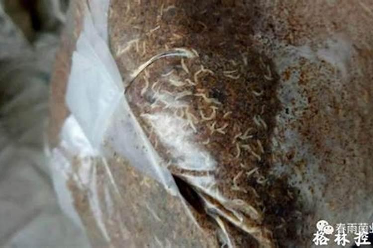 关于平潭的风土人情