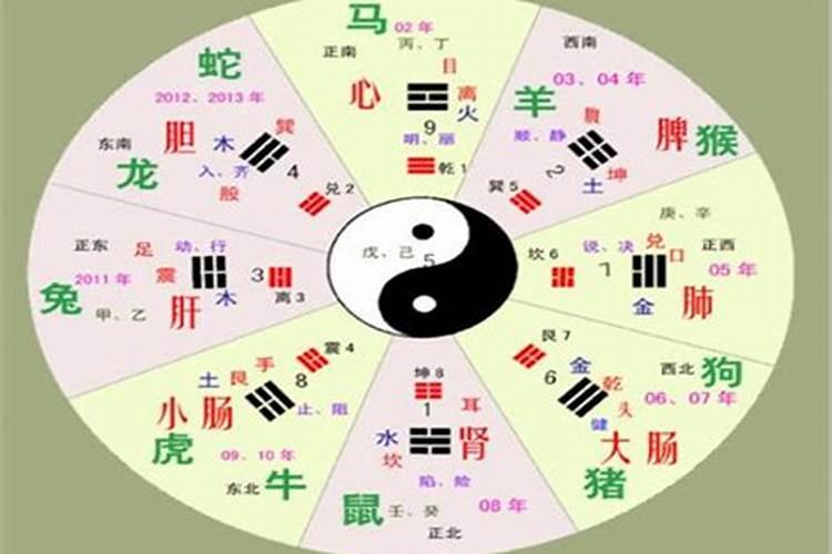 命主大贵是什么意思？