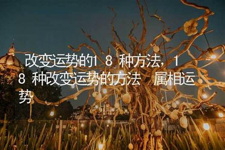八字中地势是什么意思？