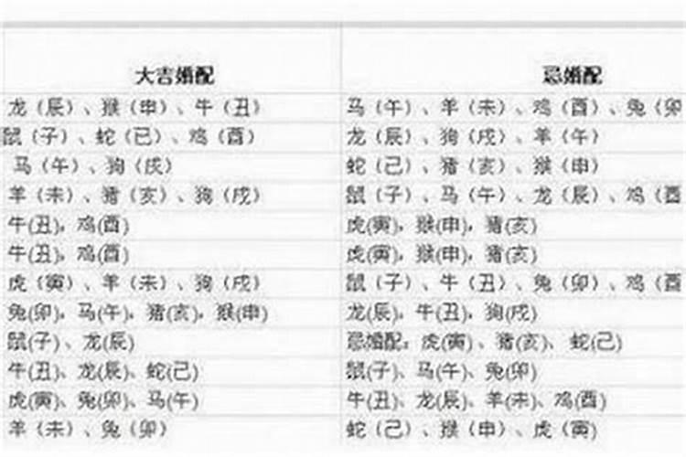 狗的属相最配什么生肖,狗与什么属相最配