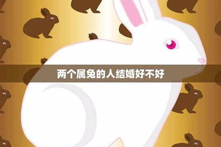 两个属兔的生日相差21天 结婚好吗？