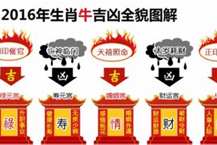 生肖牛1985年2025年运势如何 生肖牛1985年2025年全年运势