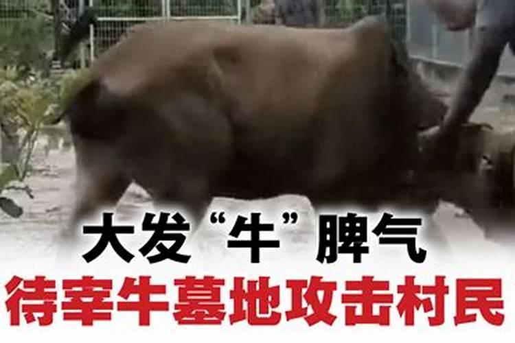 二月二有什么禁忌吗