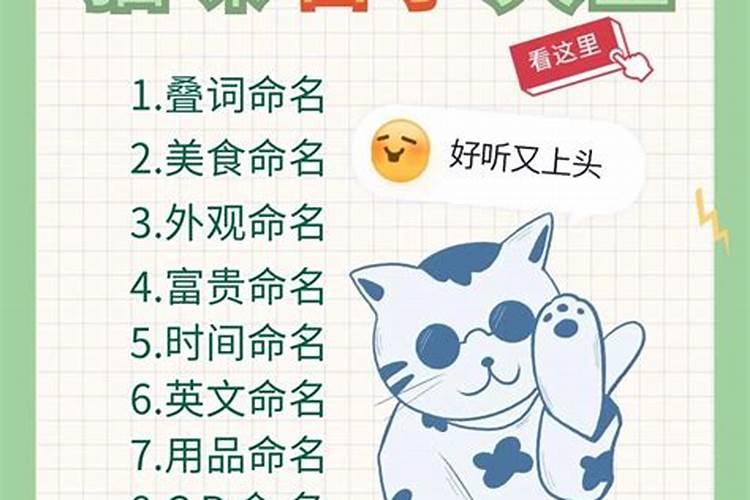 农历11月11日是什么星座