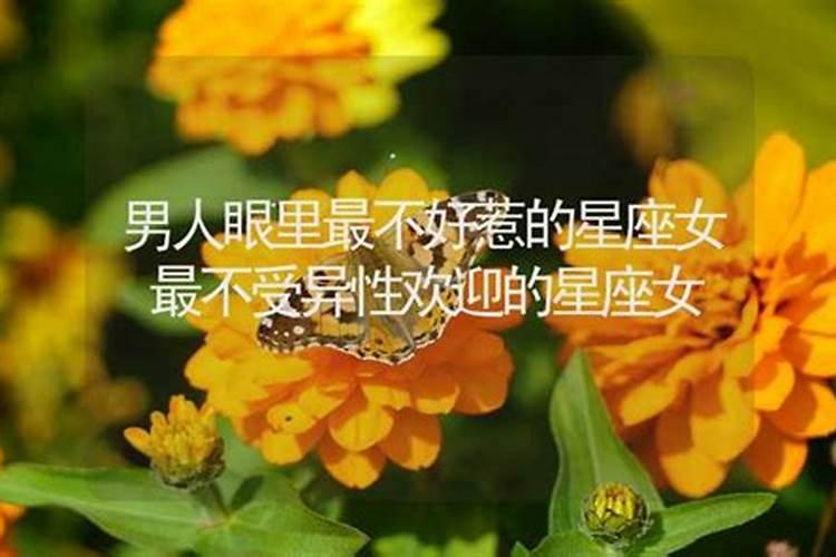 虎年生人2025年运势及运程
