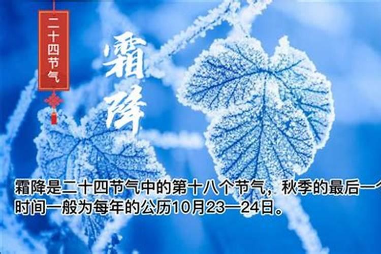 82年出生狗男正月初五运气