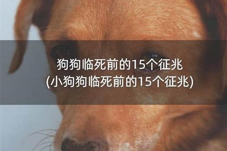 农历12月18是什么星座