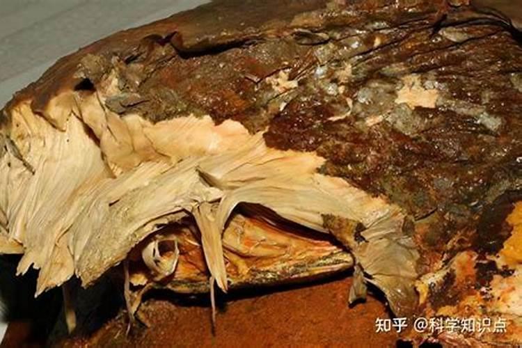 堕胎的孩子托梦是什么