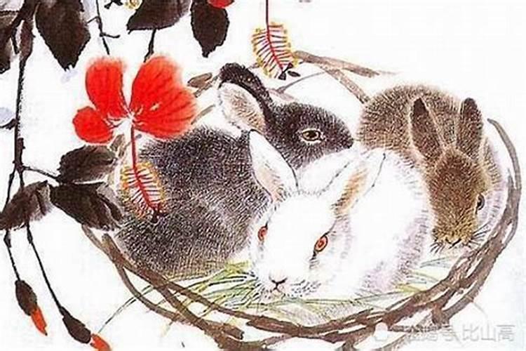 梦见好久不见表姐打电话给我