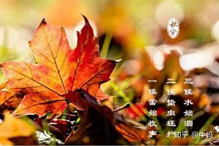 怎样为堕胎婴灵超度