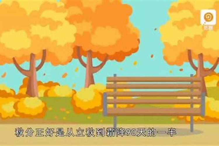 属鼠96年的男孩婚姻 96年属鼠之人运势？