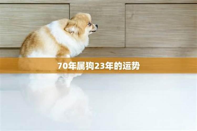 1970年属狗是什么命 1970年属狗人的终身运势命运