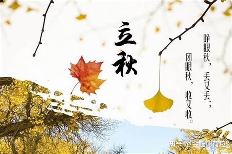 过年包粽子是什么习俗