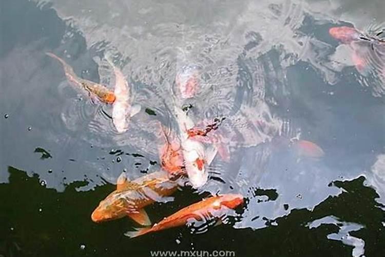 八字推算生死期之法