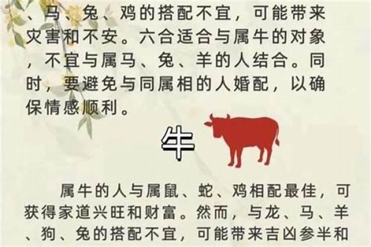 属羊的和属虎命里相冲吗