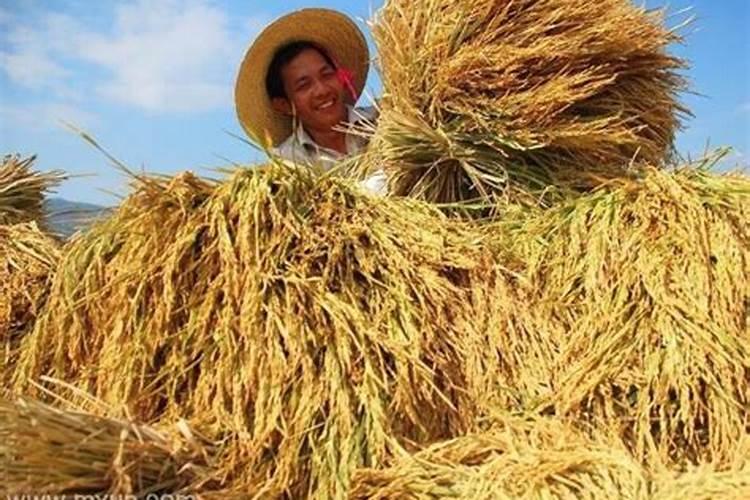 刑太岁破太岁怎么化解25年猴