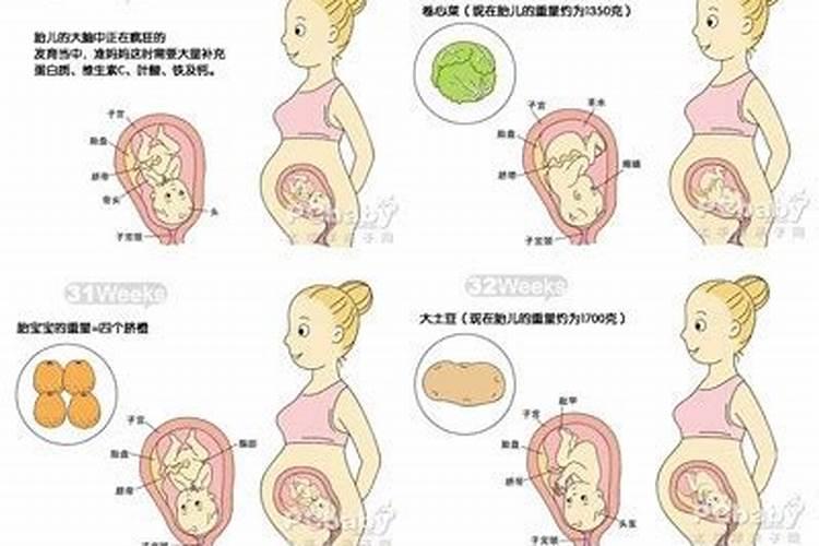 孕妇梦见很高的大马