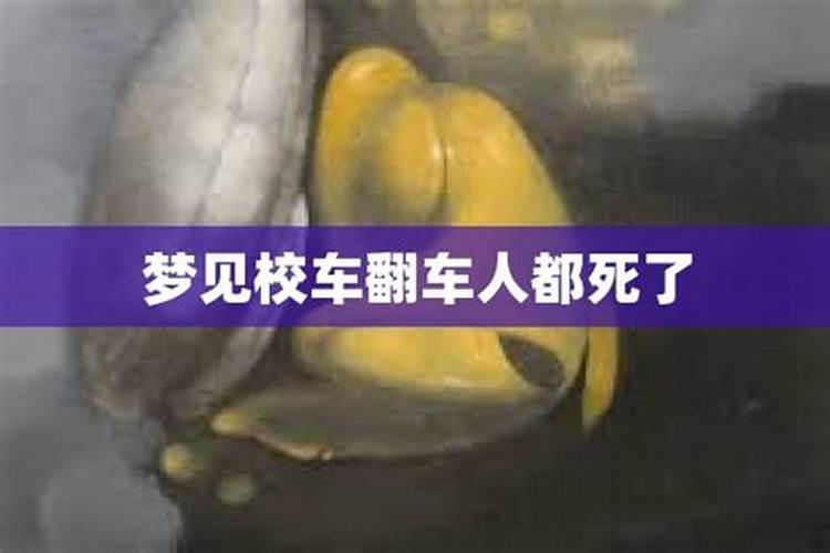 梦见自己翻车人没事的预兆