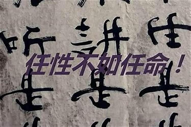 十两命五两财什么意思