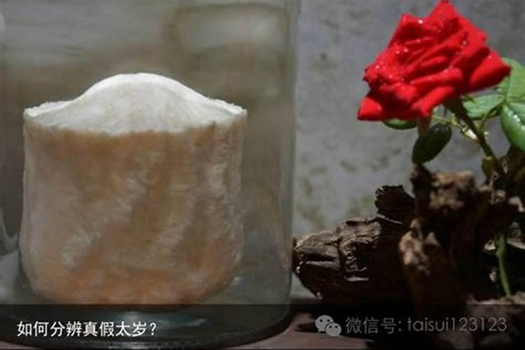 属猴2025运势及运程详解 属猴人2025年每月运势