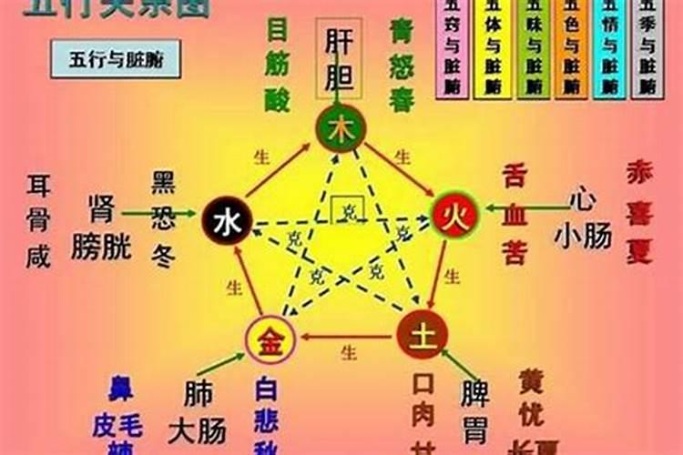 木命和土命的人合不合