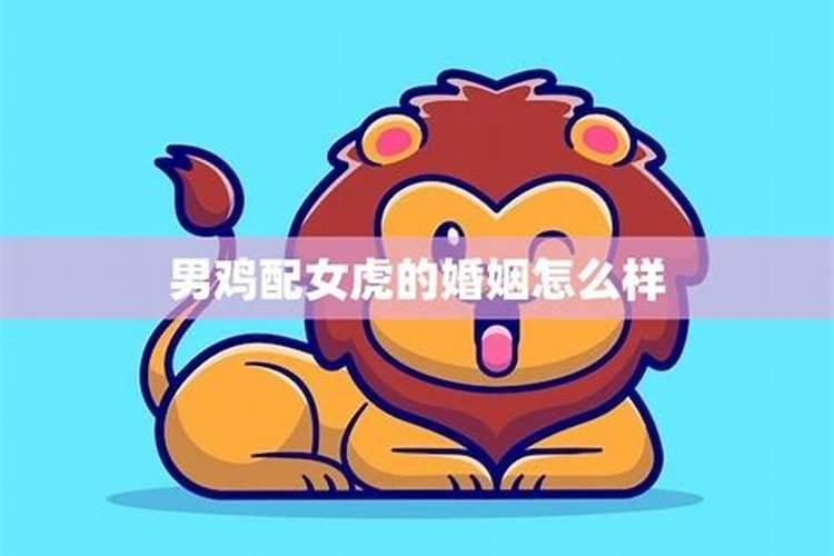 鸡男虎女婚姻相配吗