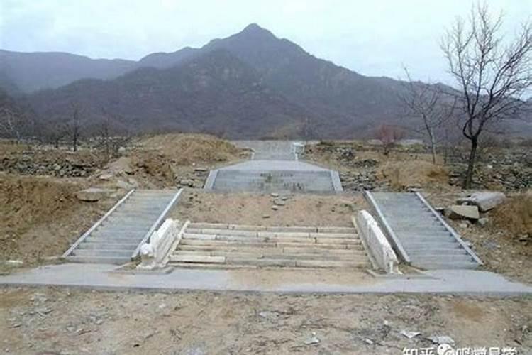 龙抬头日适合做什么