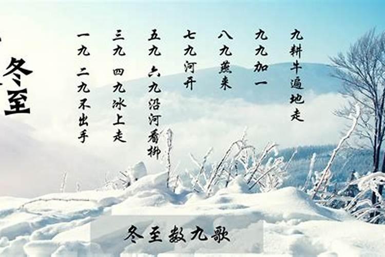 八字大的女人命好不好