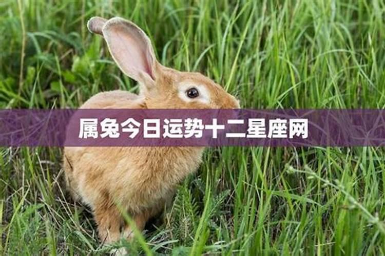 青娥是什么意思(什么是“青娥之癖”)