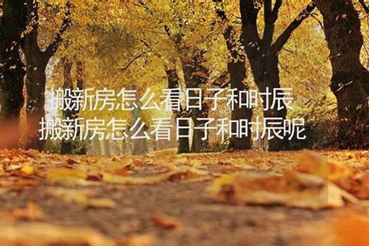 1969年属鸡几月命苦