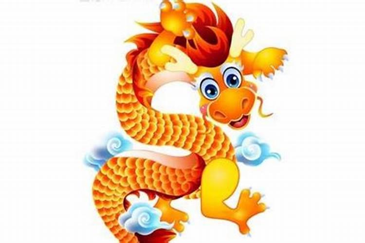 属相龙多大了今年