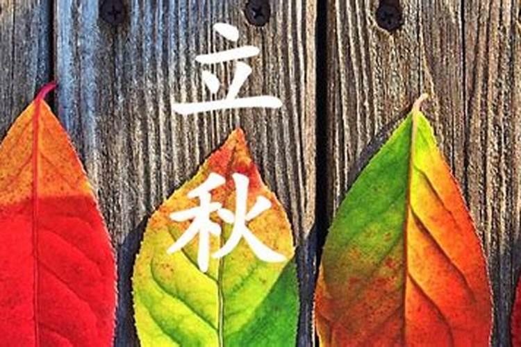 梦见牛把羊吃了
