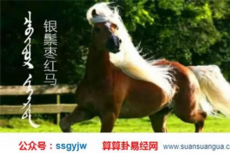2025年66年属马的运势
