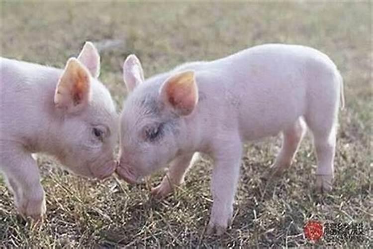 冬至什么时候播出