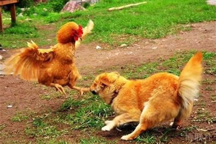 命犯太岁是什么意思