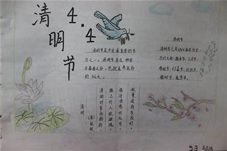 植库‖清明节,用菊花追悼新冠疫情中逝世的英雄和同胞